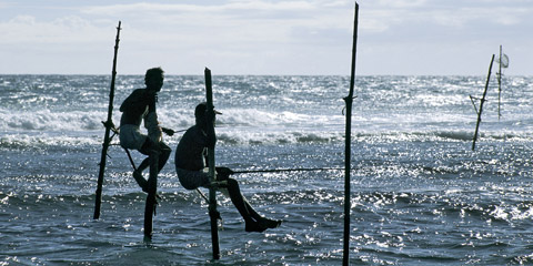 Sri Lanka,Asien