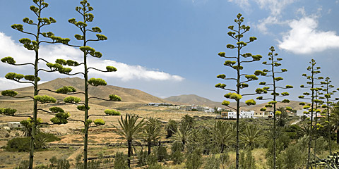 Spanien,allgemein