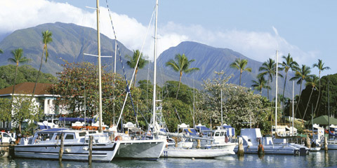 Hawaii,Maui
