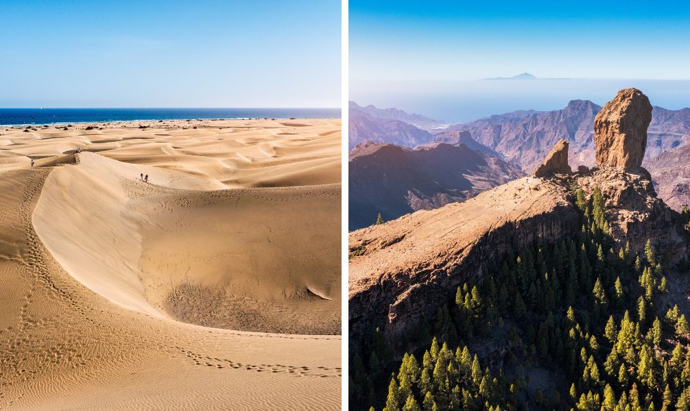 Dünen von Maspalomas & Roque Nublo