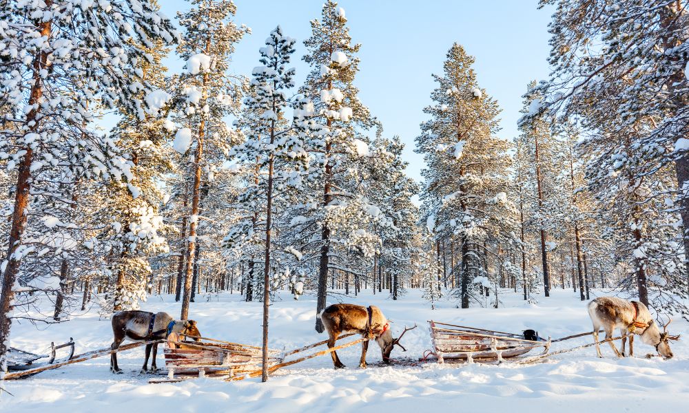 Familienurlaub in Lappland