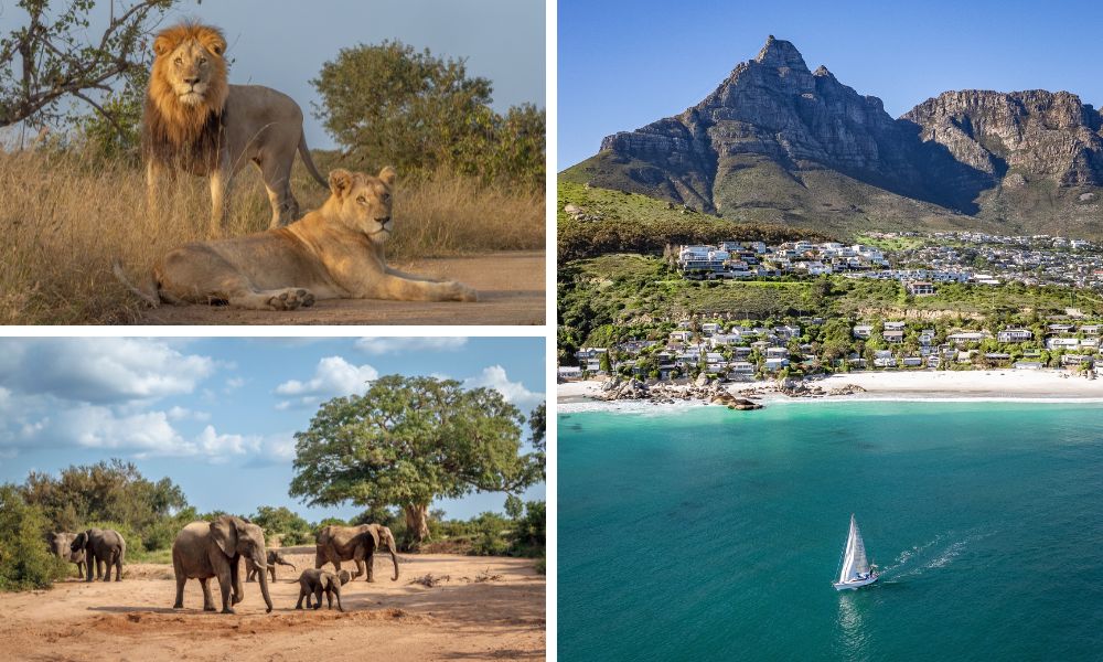 Südafrika Reisetrend 2026 Südafrika Reisetrend 2026