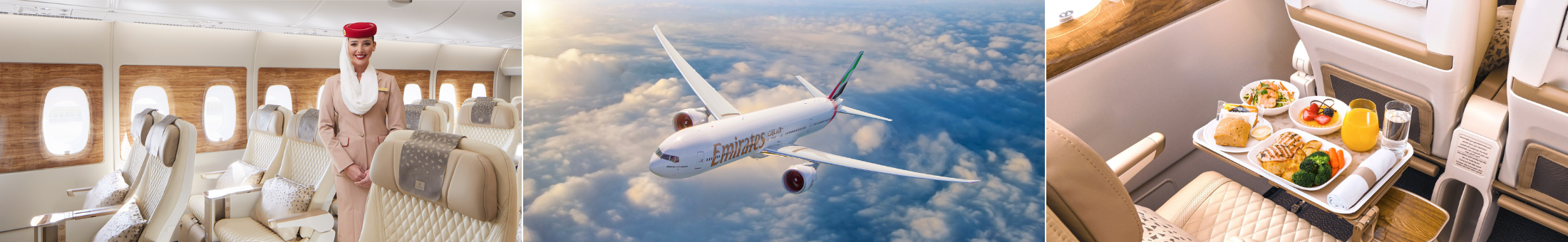 Emirates Premium Economy Class