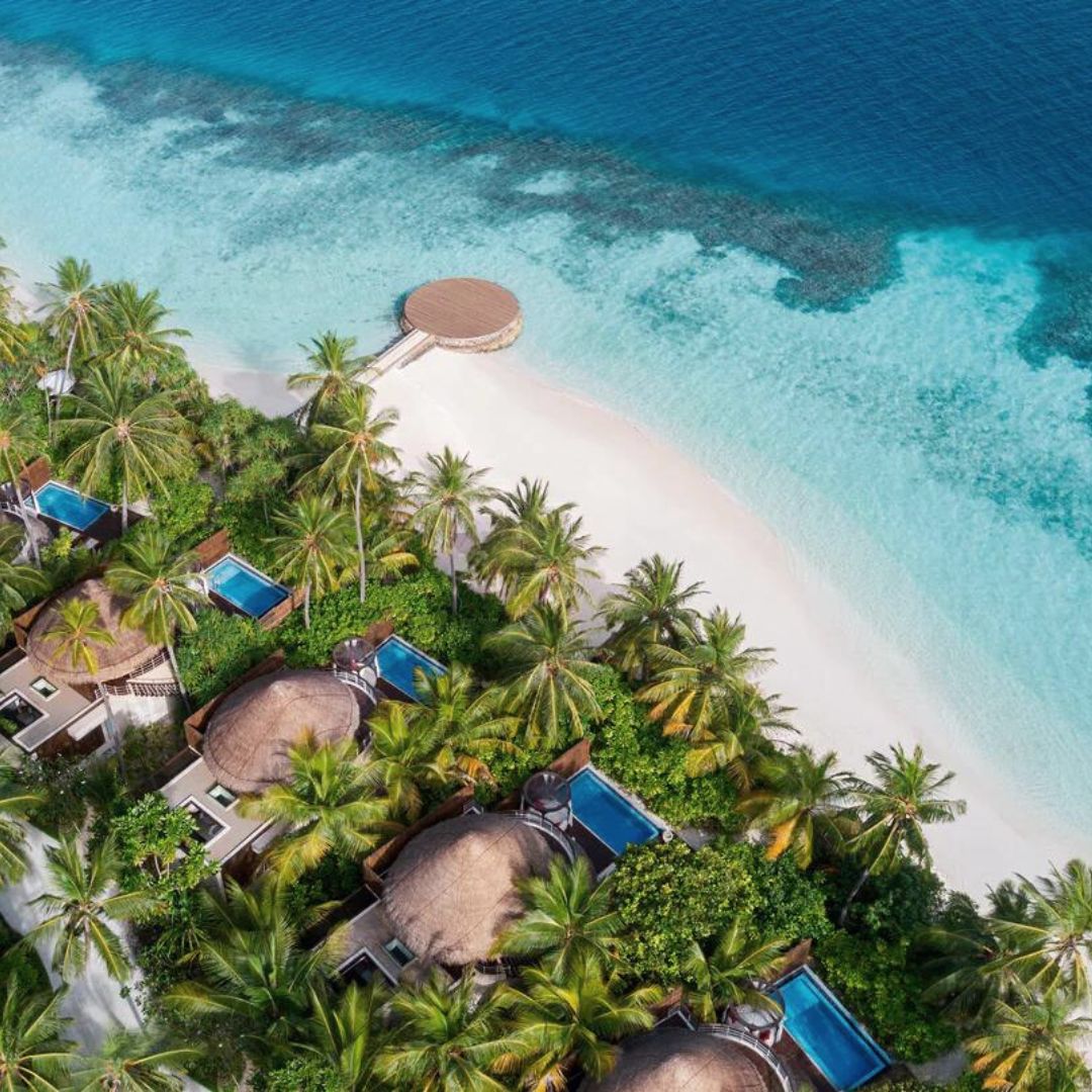 W Maldives Tauchurlaub