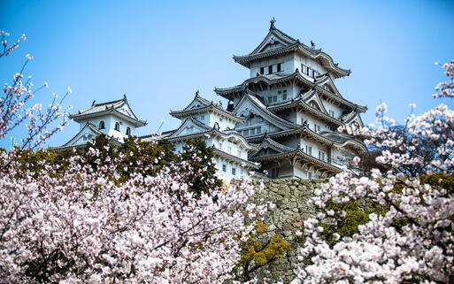 Asiatisches Schloss mit Kirschblüten © Dr_Flash / Shutterstock.com