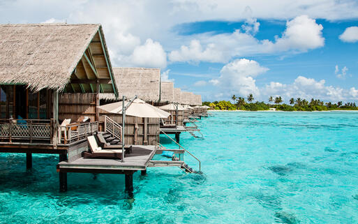 © Ambito / Shutterstock.com Wasservillen im Ozean © Ambito / Shutterstock.com