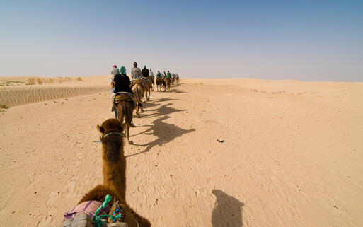 Kamel-Karavane in der Wüstenlandschaft von Tunesien © LUKinMEDIA / Shutterstock.com