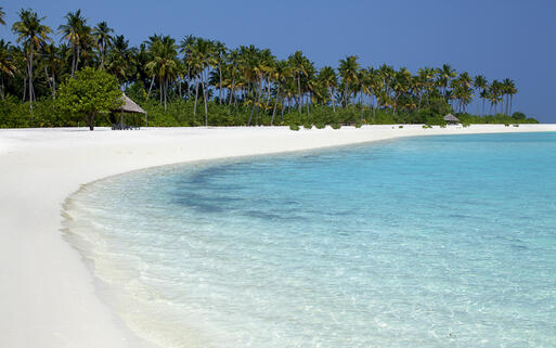 © Andrzej Kubik Tropisch weißer Sandstrand auf den Malediven © Andrzej Kubik