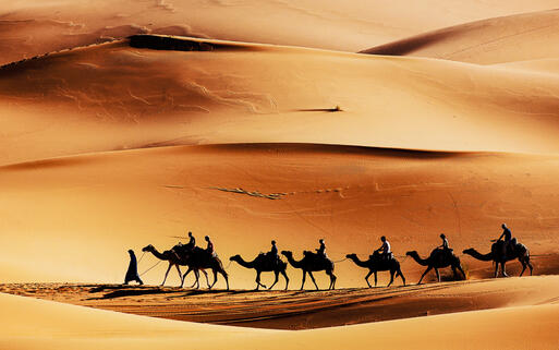© Rechitan Sorin / Shutterstock.com Eine Kamel-Karawane in der Sahara © Rechitan Sorin / Shutterstock.com