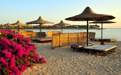 © maudanros / shutterstock.com Strandliegen eines Luxushotels in Marsa Alam © maudanros / shutterstock.com