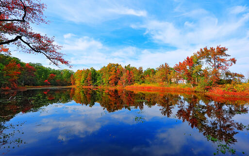© Lone Wolf Photos / Shutterstock.com Herbstlandschaft an der Flussmündung Chesapeake Bay in Maryland, USA © Lone Wolf Photos / Shutterstock.com