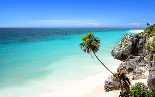 © Joao Virissimo / Shutterstock.com Strand in der Nähe von Tulum, ganz in der Nähe von Cancun an der Riviera Maya © Joao Virissimo / Shutterstock.com