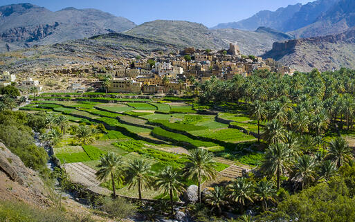 © Byelikova Oksana / Shutterstock.com Die Oasenstadt Bilad Sayt in Oman © Byelikova Oksana / Shutterstock.com