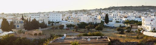 Panoramablick über die Stadt Hammamet, Tunesien © Brendan Howard / Shutterstock.com
