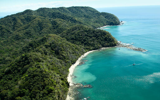 © Tami Freed / Shutterstock.com Dschungel-Berge hinter dem feinsandigen Strand Ballena Bay in Costa Rica © Tami Freed / Shutterstock.com