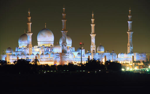 Moschee in Abu Dhabi bei Nacht © Lyubov Timofeyeva / shutterstock.com