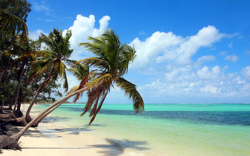 Traumhaft tropischer Strand mit türkisblauem Wasser in Playa Bavaro, Punta Cana, Dom. Rep © R0macho / Shutterstock.com