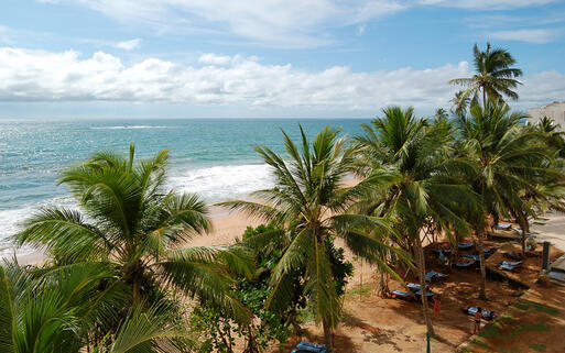 Blick über Palmen auf die Küste bei Bentota © slava296 / Shutterstock.com